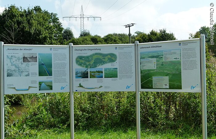 Drei Infotafeln in einer Reihe am grün bewachsenen Ufer der Altmühl. Auf den Infotafeln Informationen zur Korrektion der Altmühl, Ökologische Umgestaltung und Lebensraum Altmühlaue