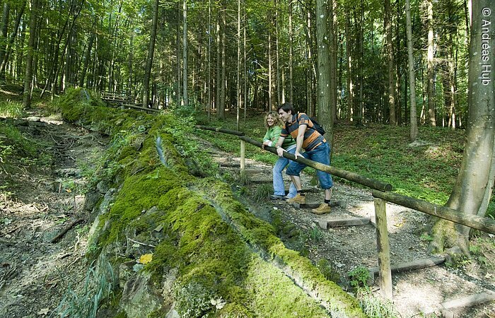 Quellenweg im Hahnenkamm Steinerne Rinne in Wolfsbronn. Ein Ehepaar steht am Holzgeländer einer Treppe im grünen Wald. Rechts davon verläuft eine steinere Rinne. Die Rinne ist bewachsen mit Moos.