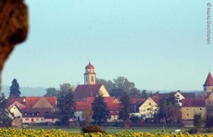 Ein Sonnenblumenfeld mit geleben Blumen. Dahinter die Häuser einer Gemeinde. Daraus hervor ragt ein Kirchturm.