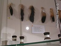 im Bechhofer Museum für Pinsel und Bürsten.