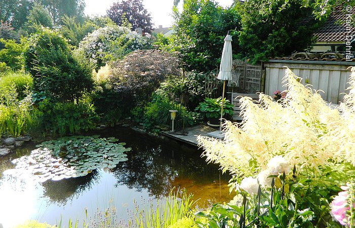 Toller Teich im Garten mit Sonnenschirm und grün blühenden Pflanzen.
