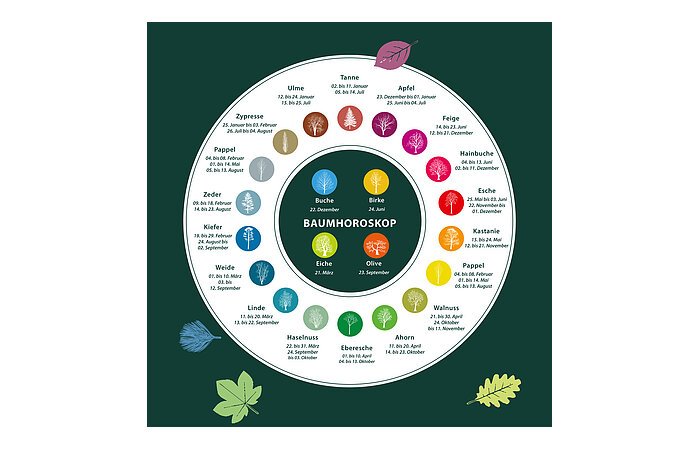 Baumhoroskop Ein Baumhoroskop mit einer Auflistung verschiedener Bäume und den dazu gehörigen Monatsdaten.