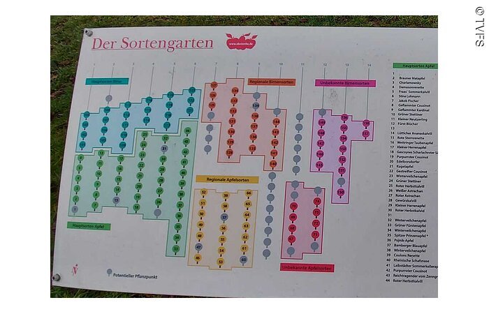 Eine Infotafel zu den Sorten in der Obstarche in Spielberg.
