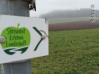 Hinweisschild des Streuobst Erlebnislandschaft, ein grüner Apfel auf weißem Hintergund, hängt an einem Pfosten. Im Hintergrund ein grünes Feld und ein nebliger Horizont.