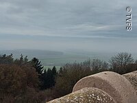 Blick von oben auf einen dunklen Wald. Der Himmel ist grau-blau und bewölkt.