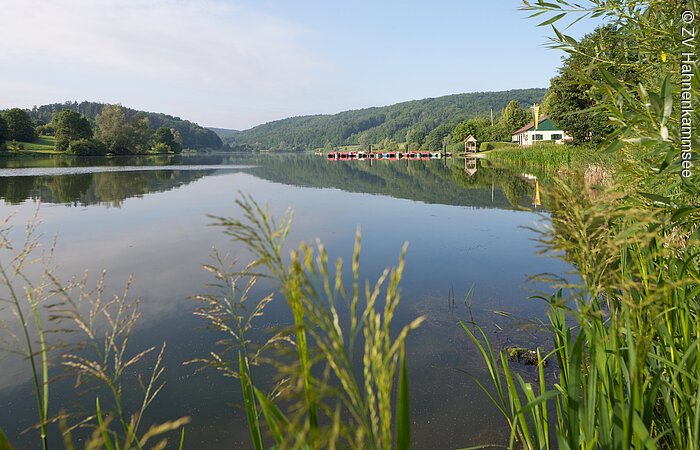 Seeufer mit Schilf im Vordergrund, ruhiger See, bewaldete Hügel im Hintergrund, Gebäude am Ufer.