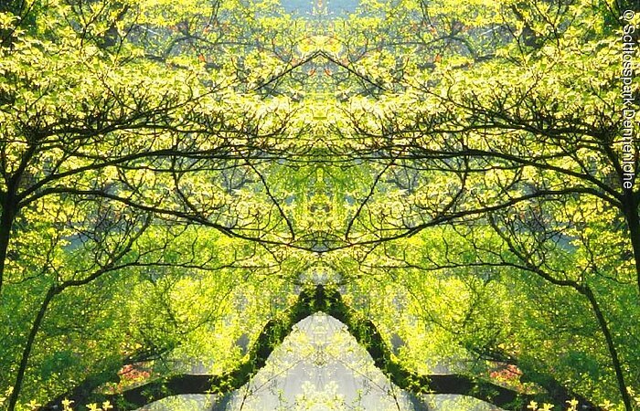 Rote Brücke im Schlosspark Dennenlohe Eine rote Brücke über einem kleinen Bach. Umgeben von Grünen Bäumen durch die die Sonne strahlt.