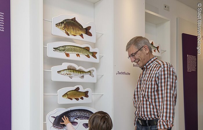 Museumsbesuch für Klein und Groß Ein Großvater betrachtet mit seinem kleinen Enkelkind ein Ausstellungstück. An der Wand hängen Modelle heimischer Süßwasserfische.