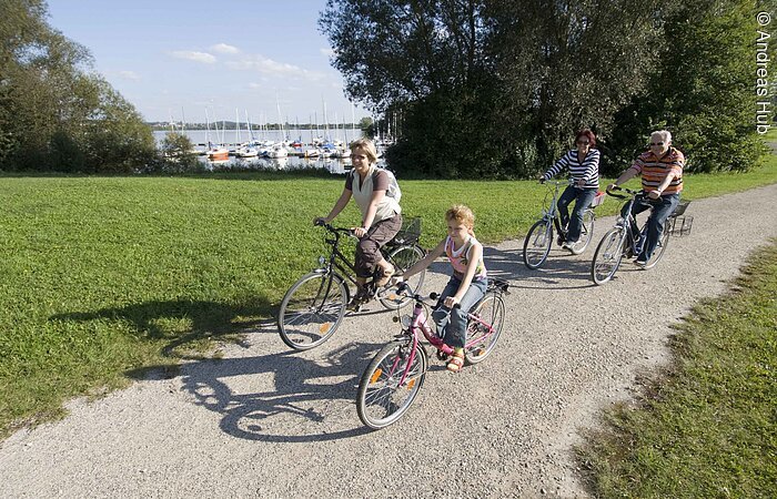 Drei Erwachsene und ein Kind fahren mit ihren Fahrrädern auf einem geschotterten Fahrradweg entlang des Altmühlsee. Um den Weg herum ist grüne Wiese. Im Hintergund hat man zwischen Bäumen und Sträuchern Blick auf den Hafen des Altmühlsees.