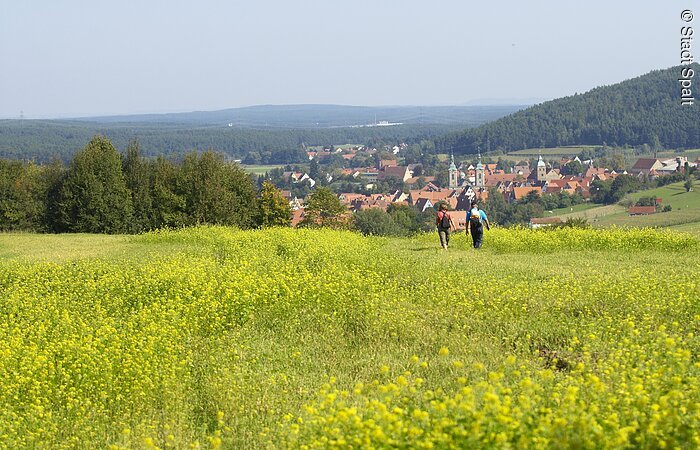 Wandern zwischen Rapsfeldern.