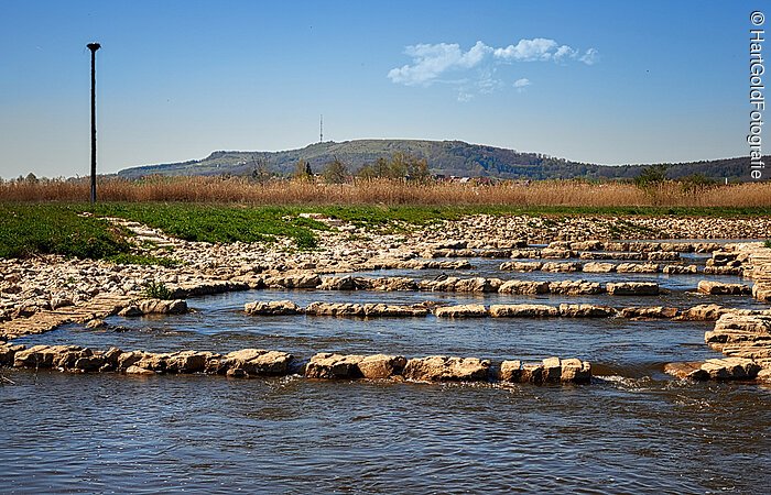 Ein breiter flacher Bach fließt durch eine grüne Landschaft. Im Bach eine Fischtreppe aus Steinen. Am Ufer des Baches liegen Steine.