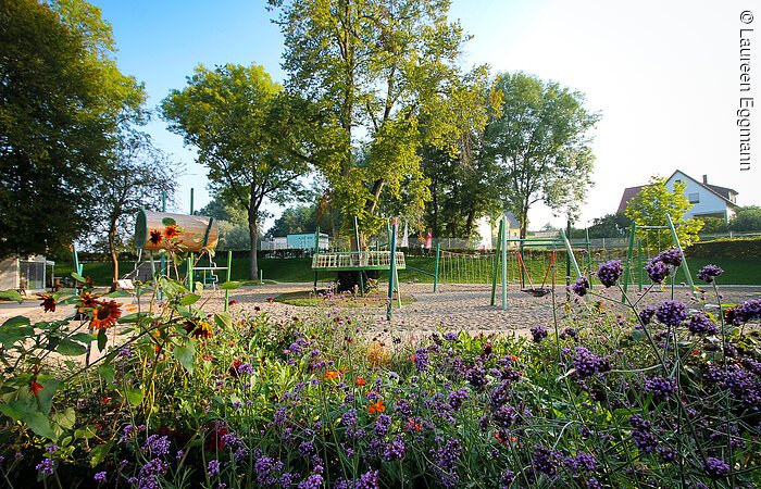Spielplatz im Grünen Ein Spielplatz mit Klettergerüst und Nestschaukel. Im Hintergund grüne Bäume. Im Vordergund eine bunte Blumenwiese.