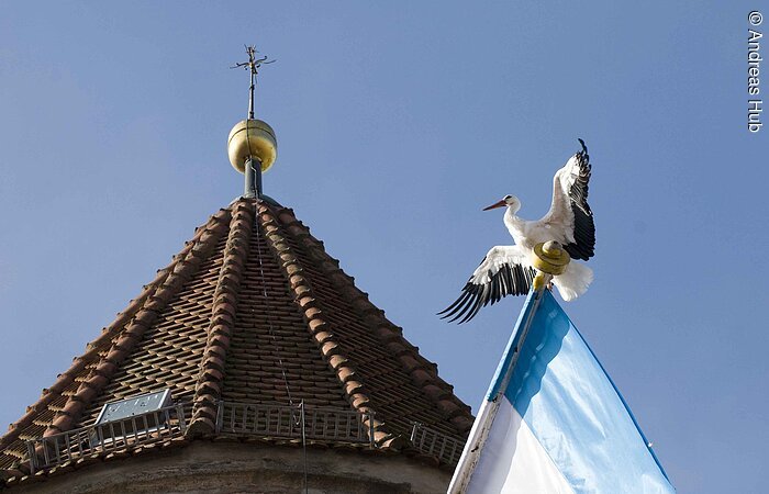 Storch sitzt auf Fahne. Im Hintergrund ein Dach mit einem Kreuz.