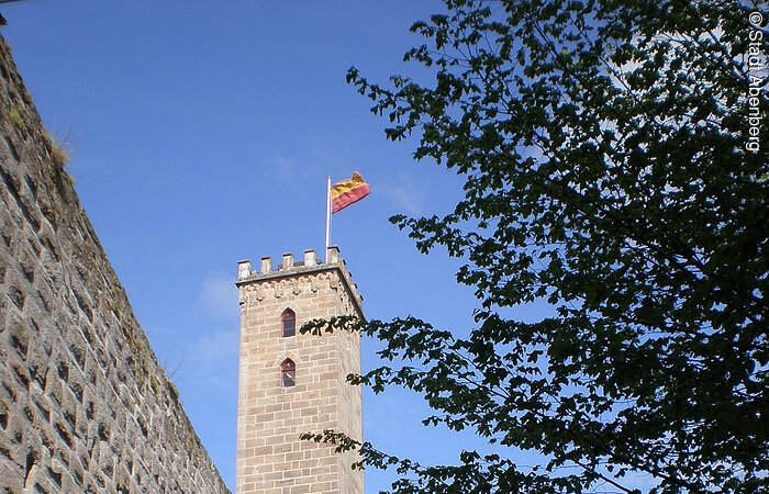 Eine große Burgmauer mit Burgturm. Im Hof eine grüne Wiese mit Baum.