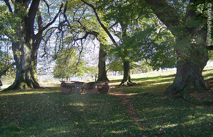 Naturdenkmal Sieben Linden