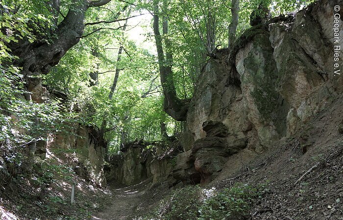 Die Hänge eines Hohlwegs sind steil aufragende Felsen, auf denen Bäume stehen.
