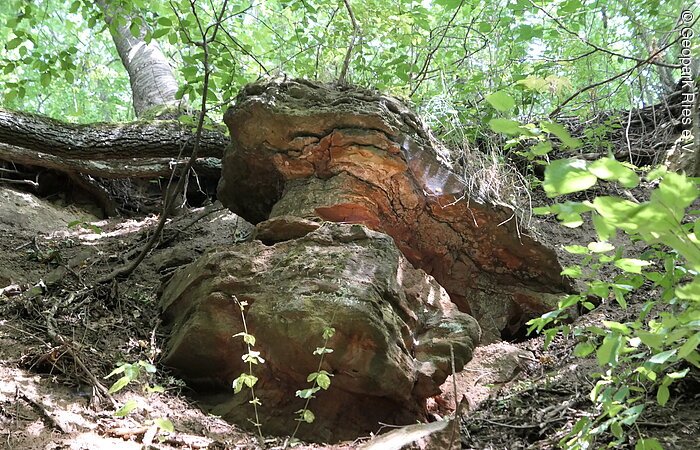 An einem Hang befindet sich eine kleine Felsformation aus geschichtetem Gestein.