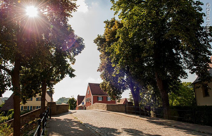 Eine gepflasterte Straße führt über eine Steinbrücke. Entlang der Straße stehen jeweils links und rechts zwei Bäume. Durch die Blätter der Baumkronen scheint die Sonne.