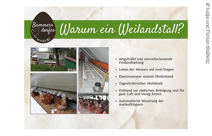 Deshalb haben wir uns für einen mobilen Freilandstall entschieden!