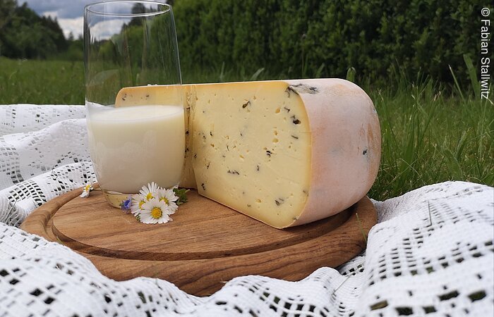 Ein halber Laib Käse plaziert auf einem Holzbrett auf einer weißen Decke in einer grünen Wiese. Auf dem Brett steht noch ein Glas Milch.