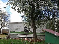 Ein mobiler Hühnerstall mit einem sehr großen Auslauf mit fast 4 m² pro Huhn. Vor dem Stall laufen viele Hühner über die grüne Wiese. In der MItte steht ein Baum mit weißen Blüten.