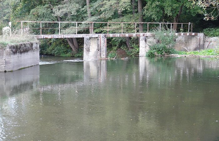 Die Rednitz mit einer kleinen alten Brücke die von einem Ufer zum anderen führt. Im Hintergrund Bäume und Sträucher.