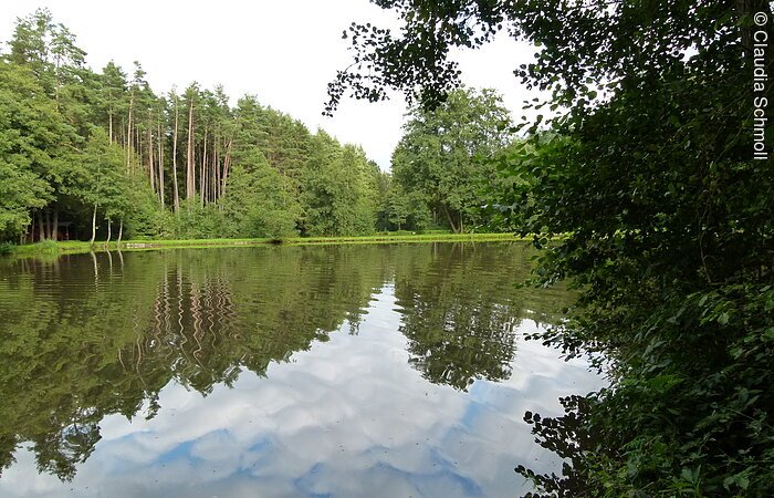 Blick auf den Fichtlesweiher, eingebettet in grüne Wälder, in der Nähe des Pfofelder Ortsteils Langlau. Das Ufer mit Bäumen und Sträuchern spiegelt sich im Wasser.