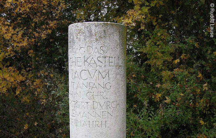 Eine Steinsäule mit lateinischer Aufschrift. Im Hintergund Sträucher.