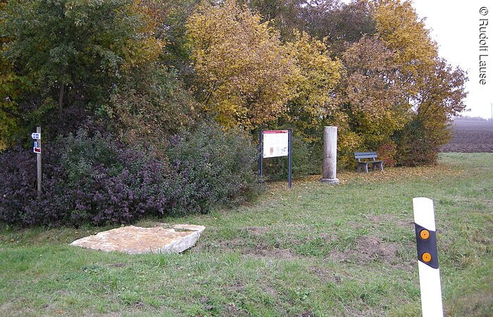 Eine grüne Wiese mit gelb grünen Bäumen und Sträuchern. Davor steht eine Informationstafel.