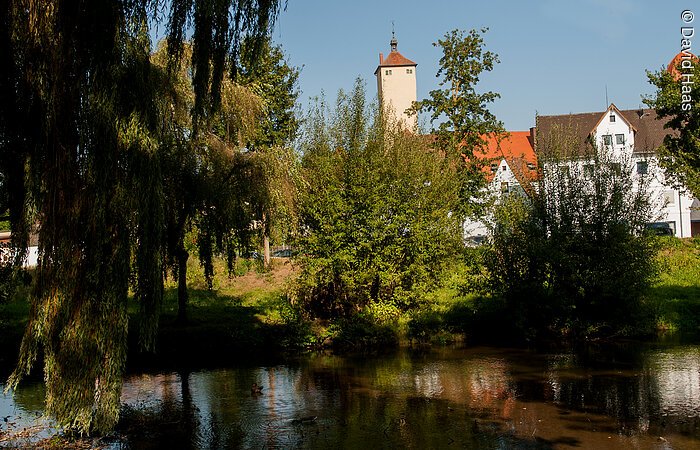 Die Fränkische Rezat in Windbsach Blick auf einen fließenden Fluss. Am grünen Ufer wachsen Bäume und Büsche. Durch das Grün sieht man Häuser einer Siedlung und einen hohen Stadtturm.