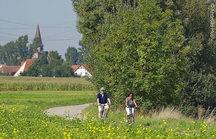 Ein Ehepaar radelt auf einem Radweg vorbei an blühenden Rapsfeldern und grünen Bäumen. Im Hintergund stehen weiter entfernt Häuser.