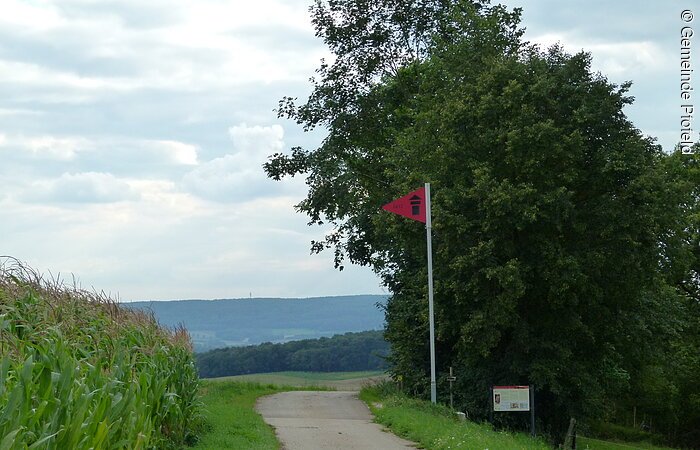 Ein kleiner Weg führt vorbei an einem Maisfeld sowie Bäumen und Sträuchern. Am Weg steht ein Wegweiser mit roter Fahne.