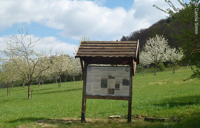 Schautafel im Obstlehrgarten