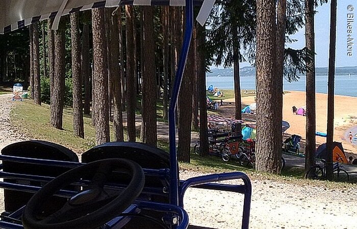 Rikschazentrum Pleinfeld Super Blick durch Bäume auf einen Sandstrand am See.