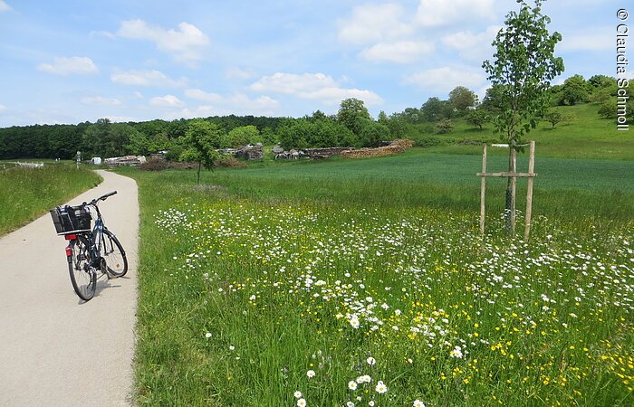 Radweg Rechts und links der Europäischen Wasserscheide. Der Weg führt durch grüne blühende Wiesen. Auf dem Radweg steht ein Fahrrad.