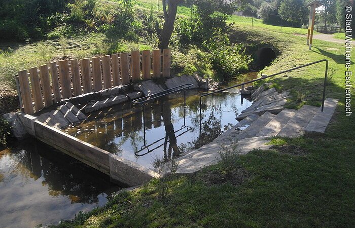 Kneippbecken in der Natur Eine Steintreppe führt in ein kleines Kneippbecken in der grünen Natur.