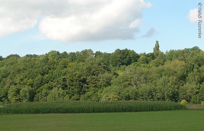Westhang Absberg Ansicht auf den Westhang "Berg am Stein" in Absberg.
