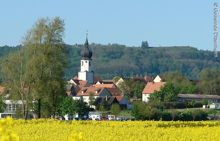 Dittenheim Kirche und gelber Berg.