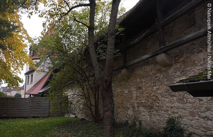 Steinmauer mit Holzbalken, dahinter Bäume und ein Haus mit rotem Dach im Herbst.