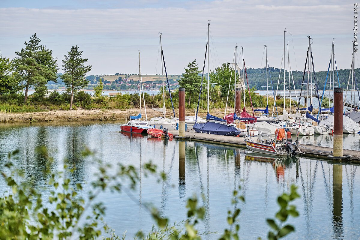 Das Bild zeigt einen Hafen